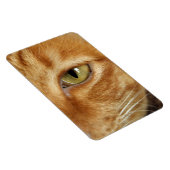 Ingwerkatze Magnet (Rechte Seite)
