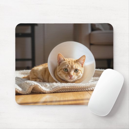 Ingwerkatze mit Schamkegel Mousepad (Mit Mouse)
