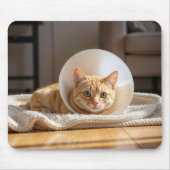Ingwerkatze mit Schamkegel Mousepad (Vorne)