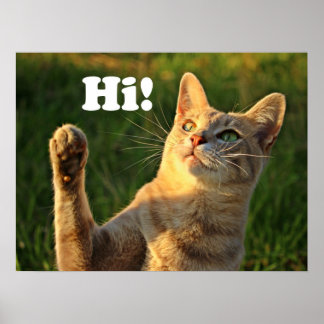 Ingwerkatze sagt Hallo! Poster