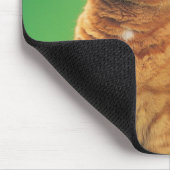 Ingwerkatze sitzend, Blick nach oben Mousepad (Ecke)