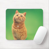Ingwerkatze sitzend, Blick nach oben Mousepad (Mit Mouse)
