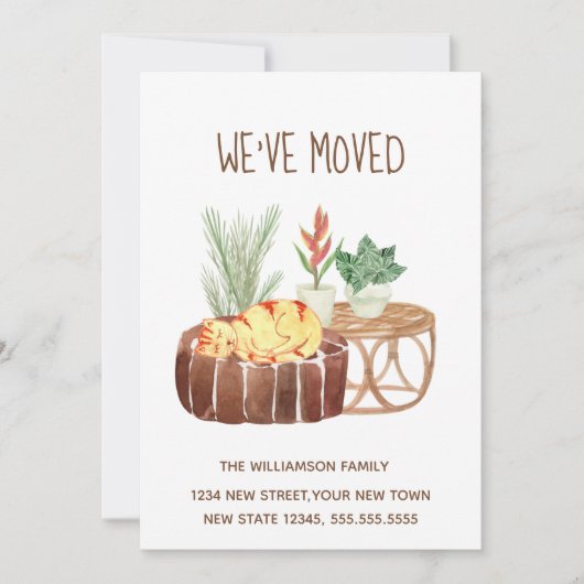 Ingwerkatze Wir haben bewegende Ankündigung versch (Vorderseite)