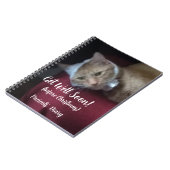Ingwerkatzen-Foto Gute Besserung , Spiral Notizblock (Linke Seite)