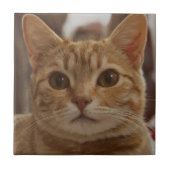 Ingwerkatzenaugen  fliese (Vorderseite)