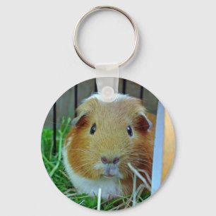 Ingwermeerschweinchen Schlüsselanhänger