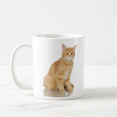 IngwerTabby Kaffeetasse (Links)