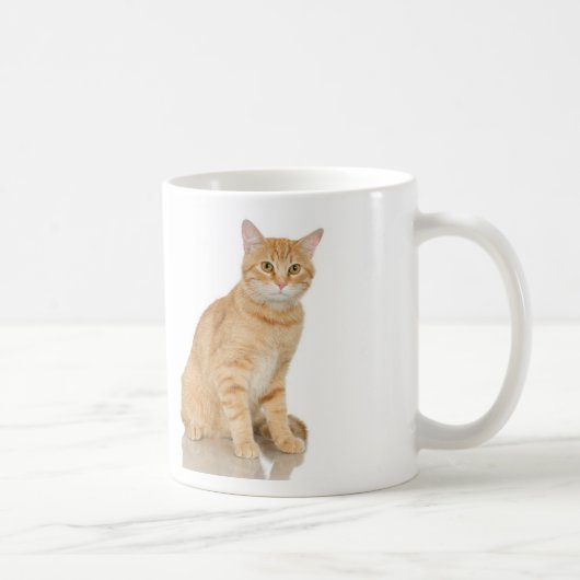 IngwerTabby Kaffeetasse (Rechts)