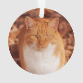 Ingwertabby-Katzen-Feiertags-Weihnachtsverzierung Ornament (Rückseite)