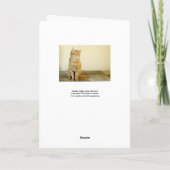 Ingwertabby-Katzen-Liebe-Karte Karte (Rückseite)