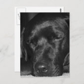 Inhalt, schwarze Arbeit Postkarte (Vorne/Hinten)