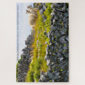 Inisheer Aran Islands Galway Irland. Jigsaw Puzzl Puzzle (Vertikal)