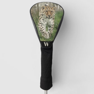 Initial des gefährdeten Amur Leopard-Fotos Golf Headcover