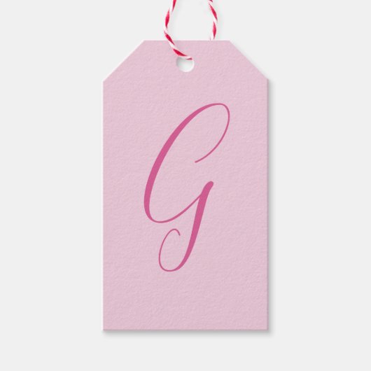 Initial Letter Monogram Light Pink Plain Chic Geschenkanhänger (Vorderseite)