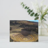 Inka Landwirtschaftliche Stätte in Moray, Peru Postkarte (Stehend Vorderseite)