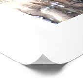 Inka-Seeschwalben Poster (Ecke)