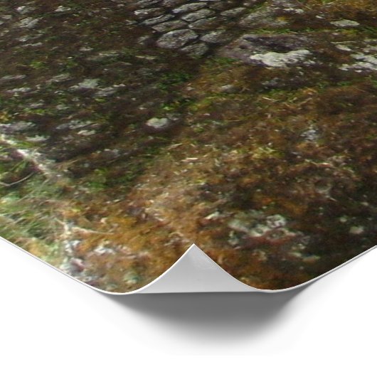 Inka-Trail Poster (Ecke)