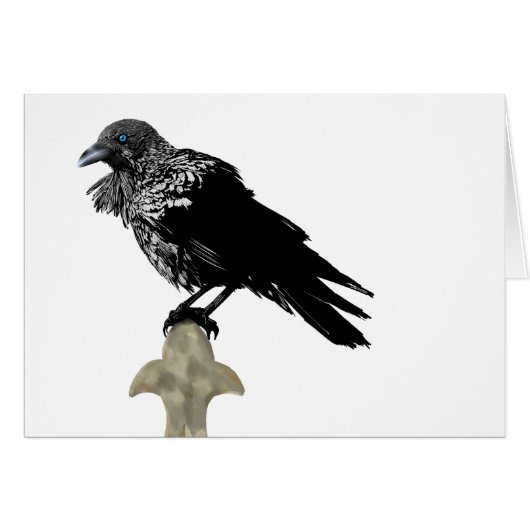 Inken Raven (Vorderseite (Horizontal))