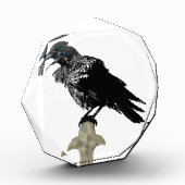 Inken Raven Fotoblock (Links)