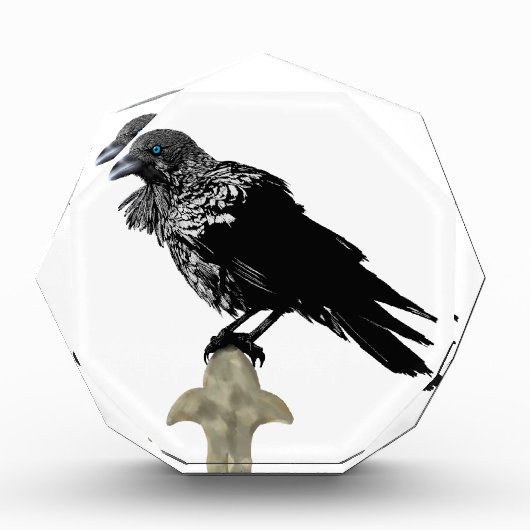 Inken Raven Fotoblock (Vorderseite)