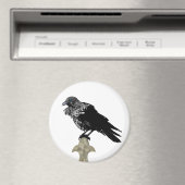 Inken Raven Magnet (In Situ (Geschirrspüler))