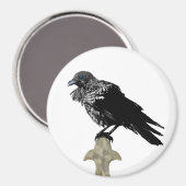 Inken Raven Magnet (Vorderseite/Rückseite)