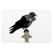 Inken Raven Magnet (Horizontal)