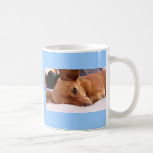 Inki die Chihuahua Kaffeetasse
