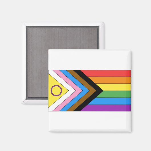 Inklusives Pride-Flag Magnet (Vorderseite/Rückseite)