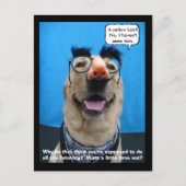 Inkognito Postkarte (Vorderseite)