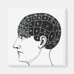 Inländische Neigungen Magnet