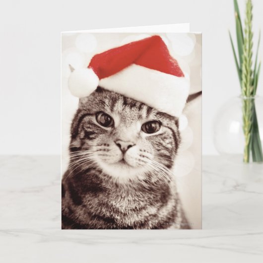 Inländische Tabbykatze, die roten Weihnachtshut Feiertagskarte (Vorderseite)