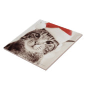 Inländische Tabbykatze, die roten Weihnachtshut Fliese (Seite)