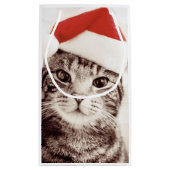 Inländische Tabbykatze, die roten Weihnachtshut Kleine Geschenktüte (Rückseite)