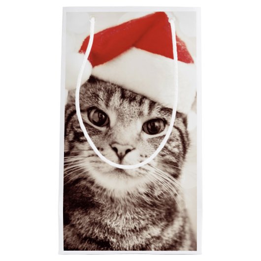Inländische Tabbykatze, die roten Weihnachtshut Kleine Geschenktüte (Vorderseite)
