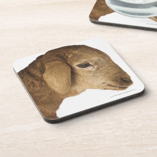 Inländisches Lamm Untersetzer (Linke Seite)