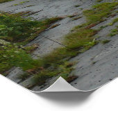 Inn at Buck Hill Falls Poster (Ecke)