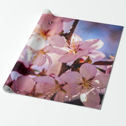 Innen ein Sakura Tree Geschenkpapier (Ungerollt)