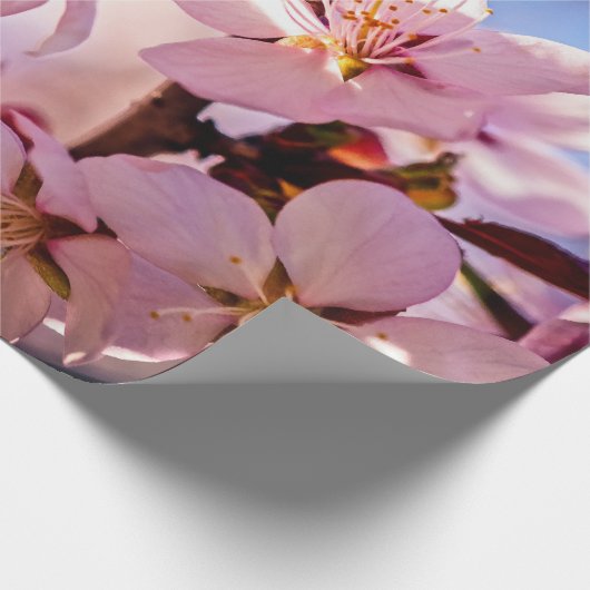 Innen ein Sakura Tree Geschenkpapier (Ecke)