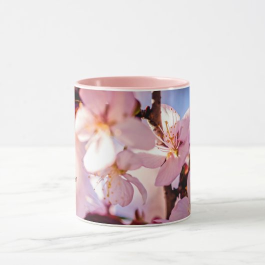 Innen ein Sakura Tree Tasse (Zentrum)