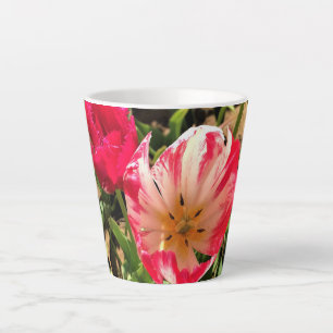 Innen eine rosa und weiße Tulpe Milchtasse