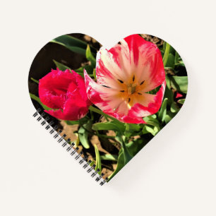 Innen eine rosa und weiße Tulpe Notizblock