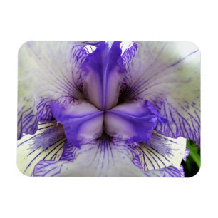 Innen einer Iris Magnet