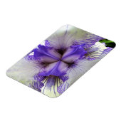 Innen einer Iris Magnet (Linke Seite)