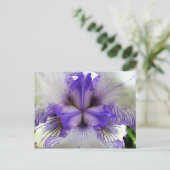 Innen einer Iris Postkarte (Stehend Vorderseite)