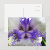 Innen einer Iris Postkarte (Vorne/Hinten)