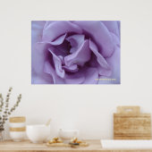 Innen einer Lavendel-Rose Poster (Küche)