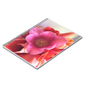 Innen einer rosa Tulip Notizblock (Linke Seite)