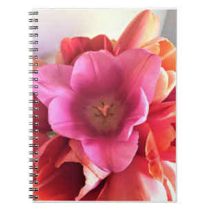 Innen einer rosa Tulip Notizblock