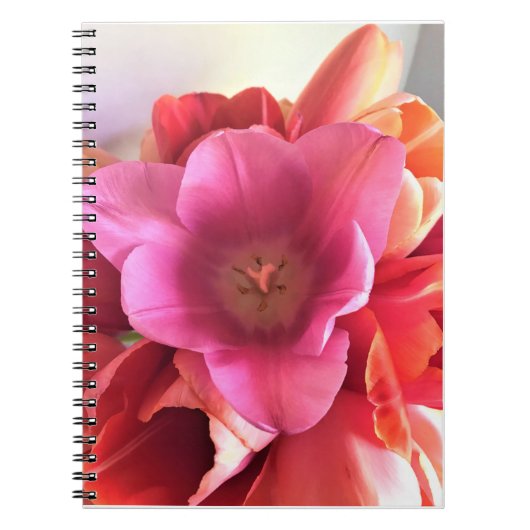Innen einer rosa Tulip Notizblock (Vorderseite)